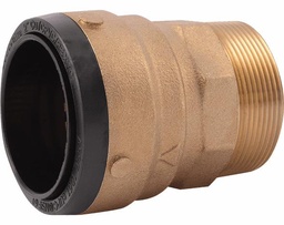 [1227245] 2" x 2" MPT Connector Lead Free