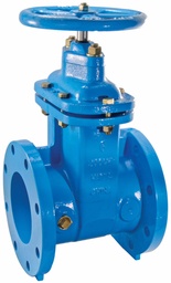 [6917245] 2-1/2 In 405-RW 2 1/2 Gate Valve