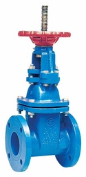 [6917215] 6 408 OS&Y-RW-CFLANGED GATE VALVE