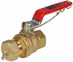 [5994640] 3/4 IP R+W BALL VALVE+CAP 5046